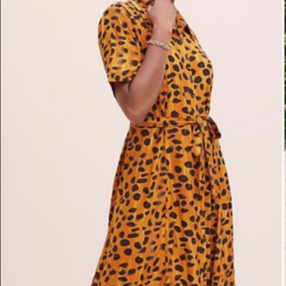 NWT Anthropologie Maxi Printed Dress